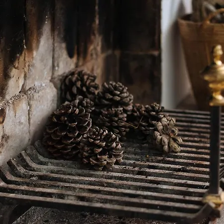 La Casita De Hato Pinos, Un Rincón En Doñana